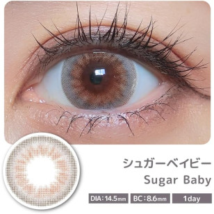 COLOR MAJORITY 1Day Sugar Baby カラーマジョリティー シュガーベイビー